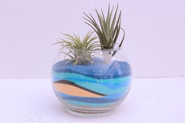 A tillandsias terrarium in a glass bowl with colored sand